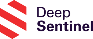 DS Primary Logo
