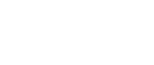 DS_Primary_Logo_White_RGB